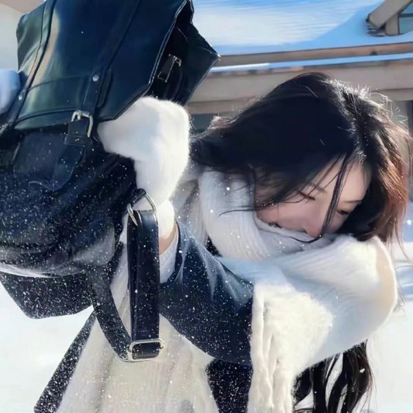 窃劫复仇